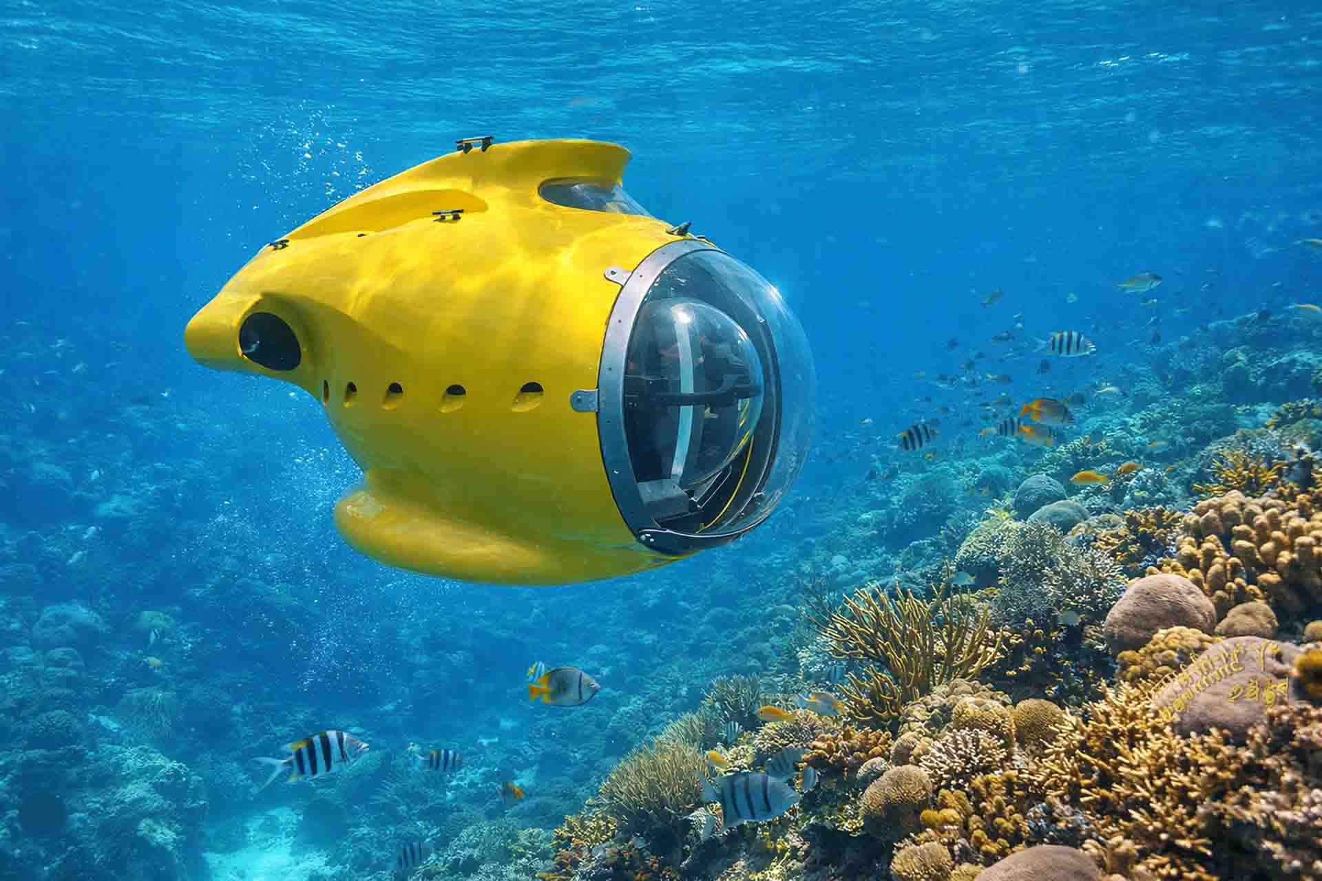 Luxury Yacht Submarines